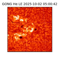 gong - 2025-10-02T05:00:42