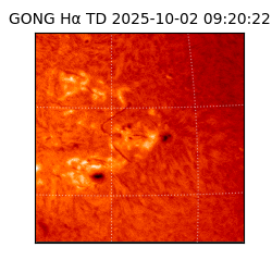 gong - 2025-10-02T09:20:22