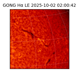 gong - 2025-10-02T02:00:42