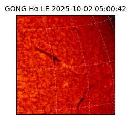 gong - 2025-10-02T05:00:42