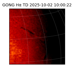 gong - 2025-10-02T10:00:22