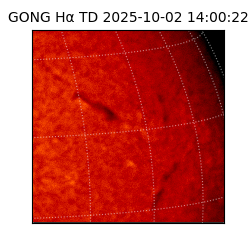 gong - 2025-10-02T14:00:22