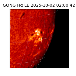 gong - 2025-10-02T02:00:42