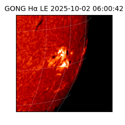 gong - 2025-10-02T06:00:42