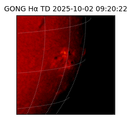 gong - 2025-10-02T09:20:22