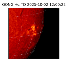 gong - 2025-10-02T12:00:22