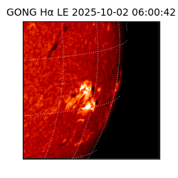 gong - 2025-10-02T06:00:42