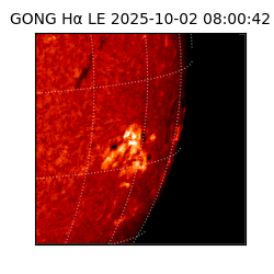 gong - 2025-10-02T08:00:42