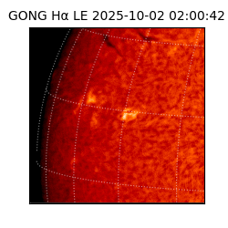 gong - 2025-10-02T02:00:42
