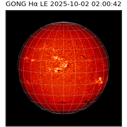 gong - 2025-10-02T02:00:42