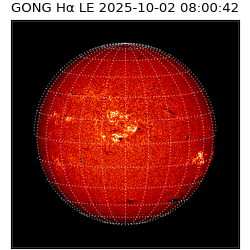 gong - 2025-10-02T08:00:42