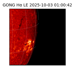 gong - 2025-10-03T01:00:42