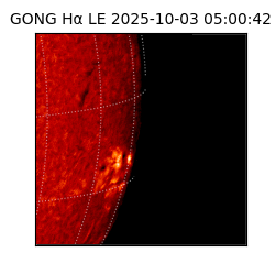gong - 2025-10-03T05:00:42