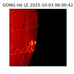 gong - 2025-10-03T06:00:42