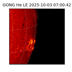 gong - 2025-10-03T07:00:42