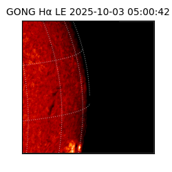 gong - 2025-10-03T05:00:42