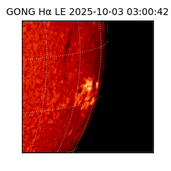 gong - 2025-10-03T03:00:42