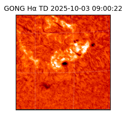 gong - 2025-10-03T09:00:22