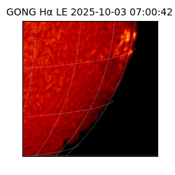 gong - 2025-10-03T07:00:42