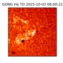 gong - 2025-10-03T08:00:22