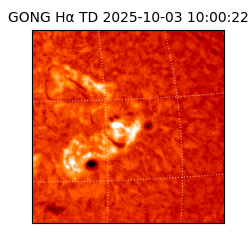 gong - 2025-10-03T10:00:22