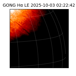 gong - 2025-10-03T02:22:42
