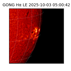 gong - 2025-10-03T05:00:42