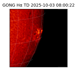 gong - 2025-10-03T08:00:22