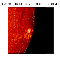 gong - 2025-10-03T03:00:42