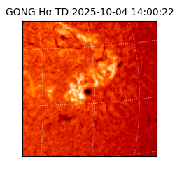 gong - 2025-10-04T14:00:22