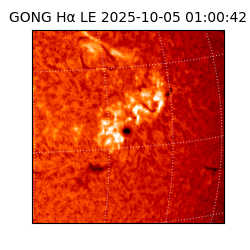 gong - 2025-10-05T01:00:42