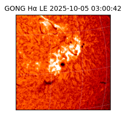 gong - 2025-10-05T03:00:42