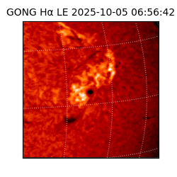 gong - 2025-10-05T06:56:42