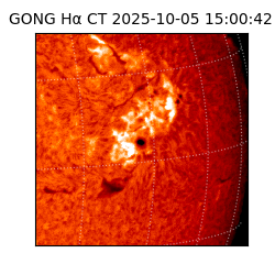 gong - 2025-10-05T15:00:42