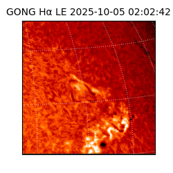 gong - 2025-10-05T02:02:42