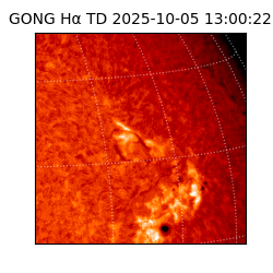 gong - 2025-10-05T13:00:22