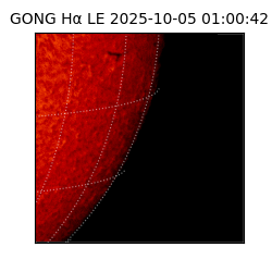gong - 2025-10-05T01:00:42