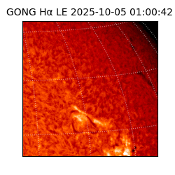 gong - 2025-10-05T01:00:42