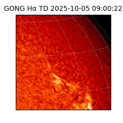 gong - 2025-10-05T09:00:22