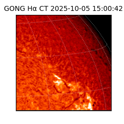 gong - 2025-10-05T15:00:42