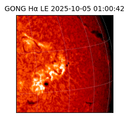 gong - 2025-10-05T01:00:42