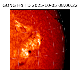 gong - 2025-10-05T08:00:22