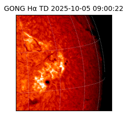 gong - 2025-10-05T09:00:22