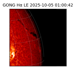 gong - 2025-10-05T01:00:42
