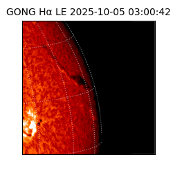 gong - 2025-10-05T03:00:42