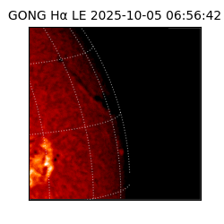gong - 2025-10-05T06:56:42
