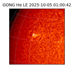gong - 2025-10-05T01:00:42