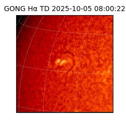 gong - 2025-10-05T08:00:22