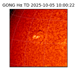 gong - 2025-10-05T10:00:22