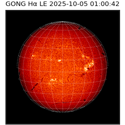 gong - 2025-10-05T01:00:42